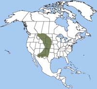 black-tailed prairie dog range