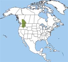 Columbian ground squirrel range