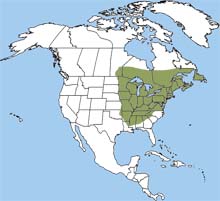 eastern chipmunk range