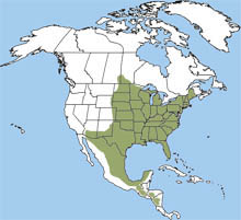 Eastern cottontail range
