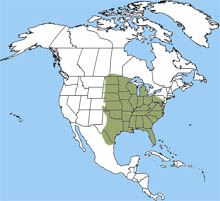 fox squirrel range