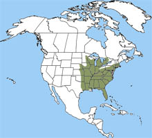 eastern hognose snake range