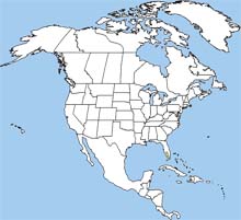 Florida panther range