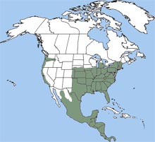 Virginia opossum range