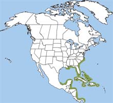 west indian manatee range