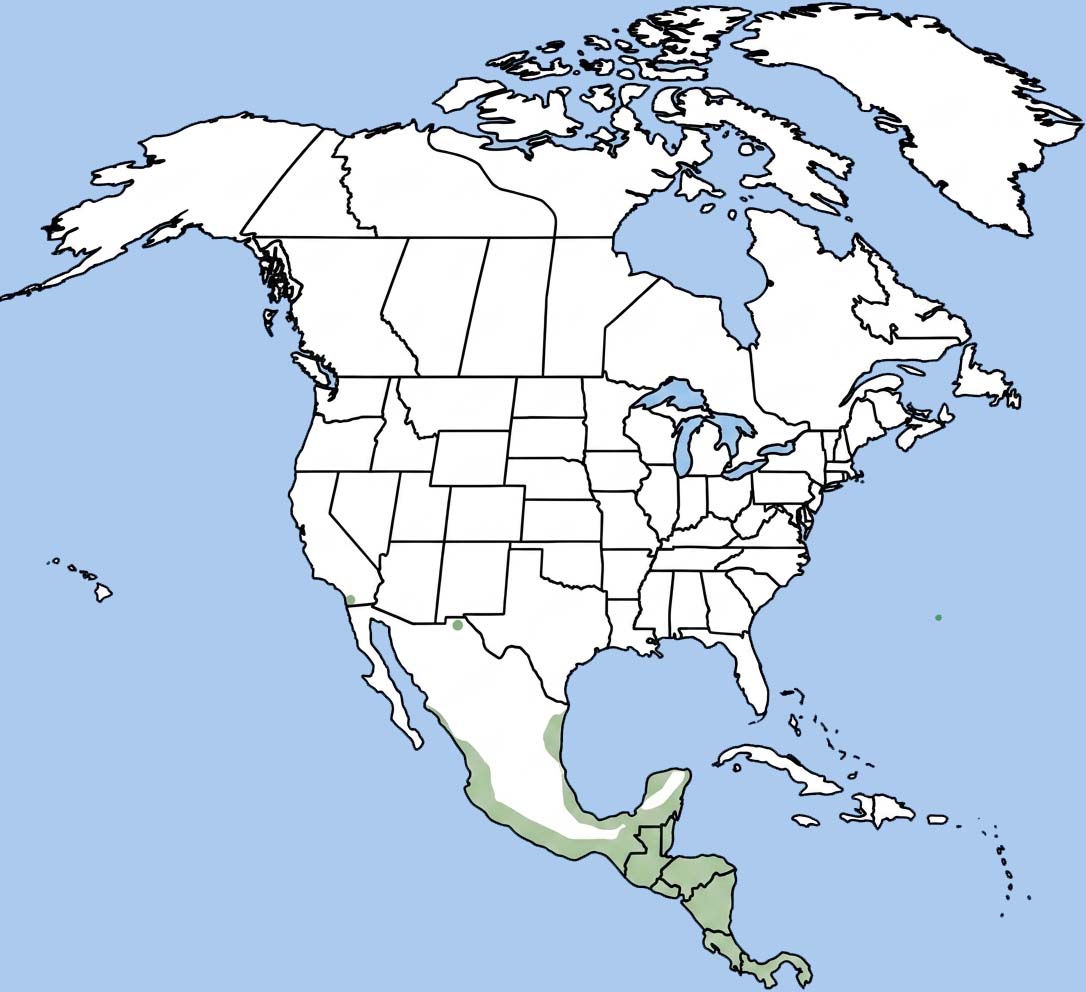 JAGUAR RANGE