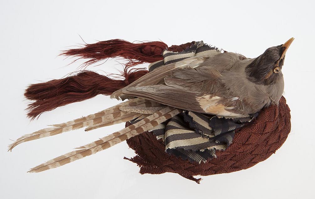 Hat with bird