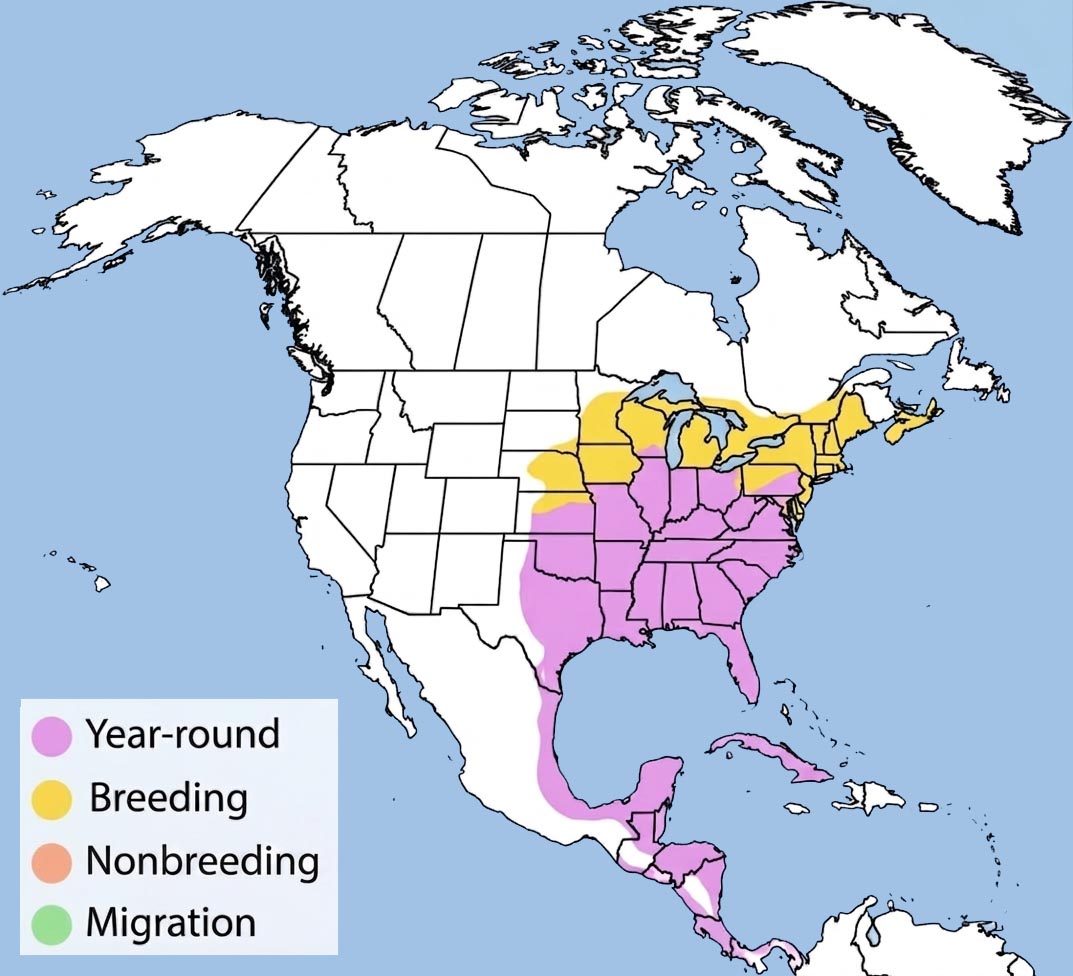 Eastern Meadowlark Range