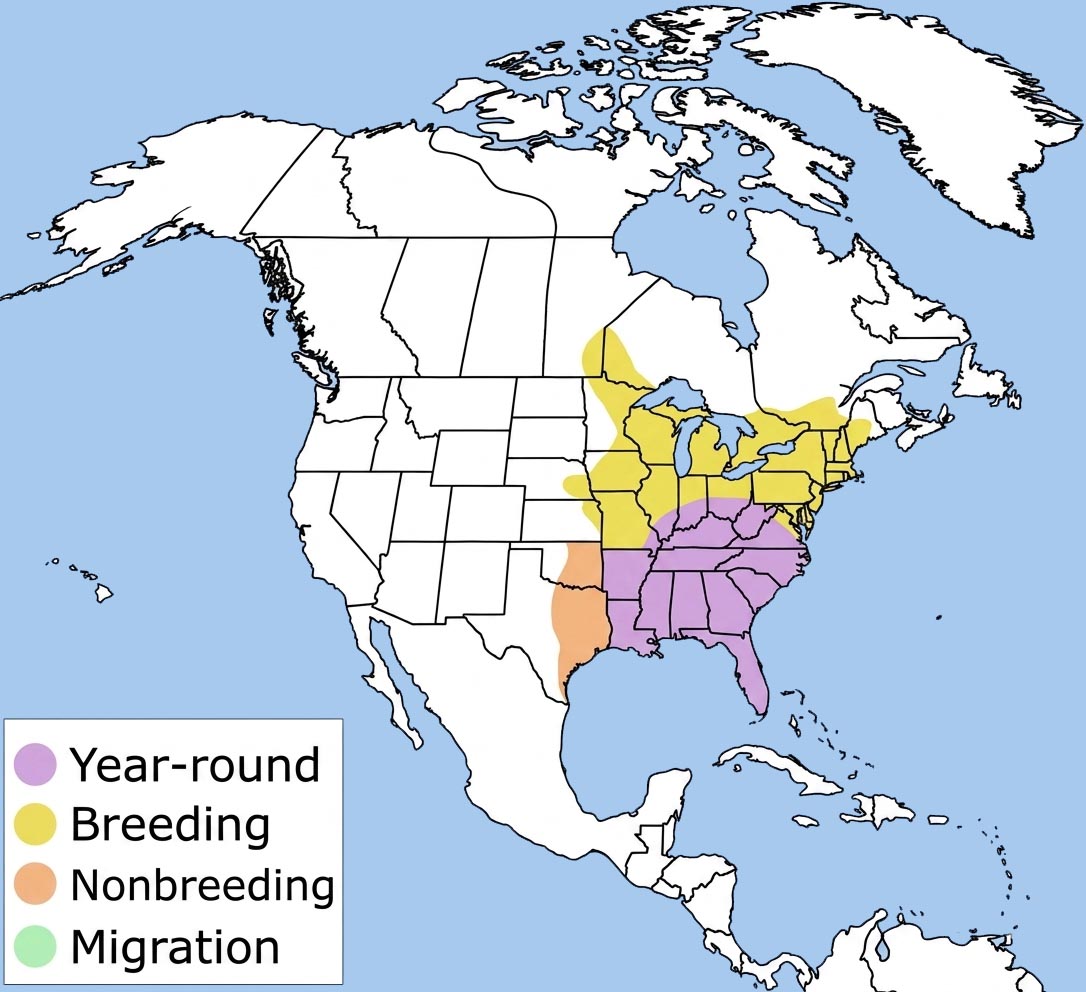 Eastern Towhee Range