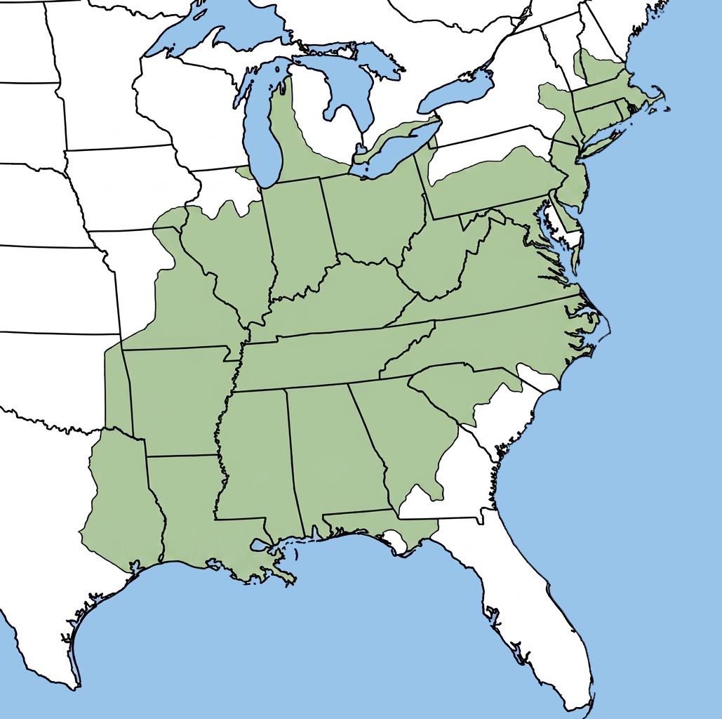 Fowler's Toad Range