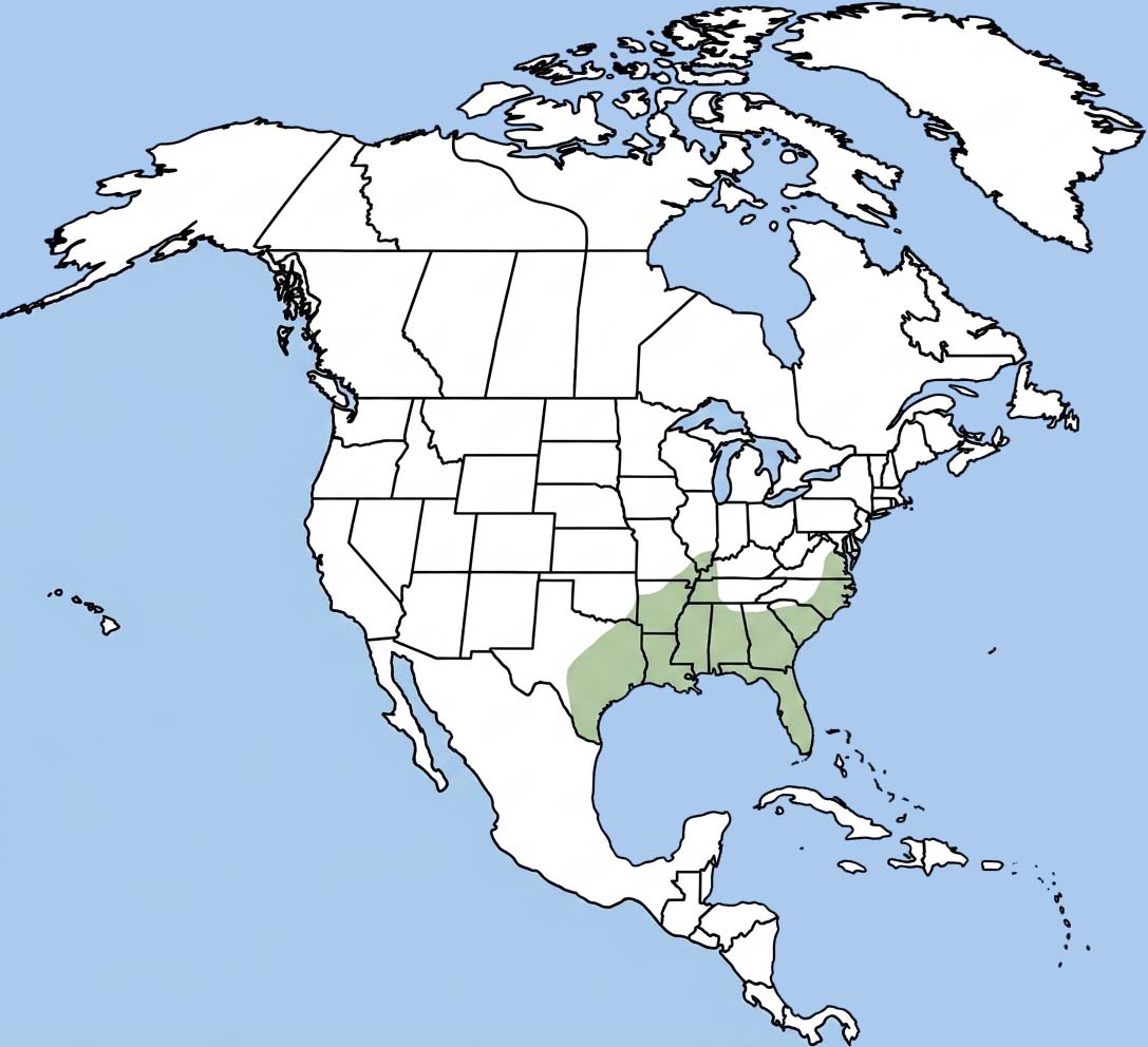 Green Treefrog Range