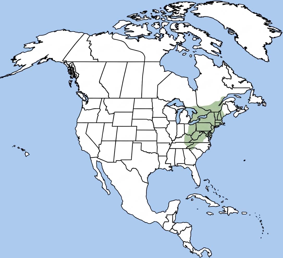 Hairy-tailed Mole Range
