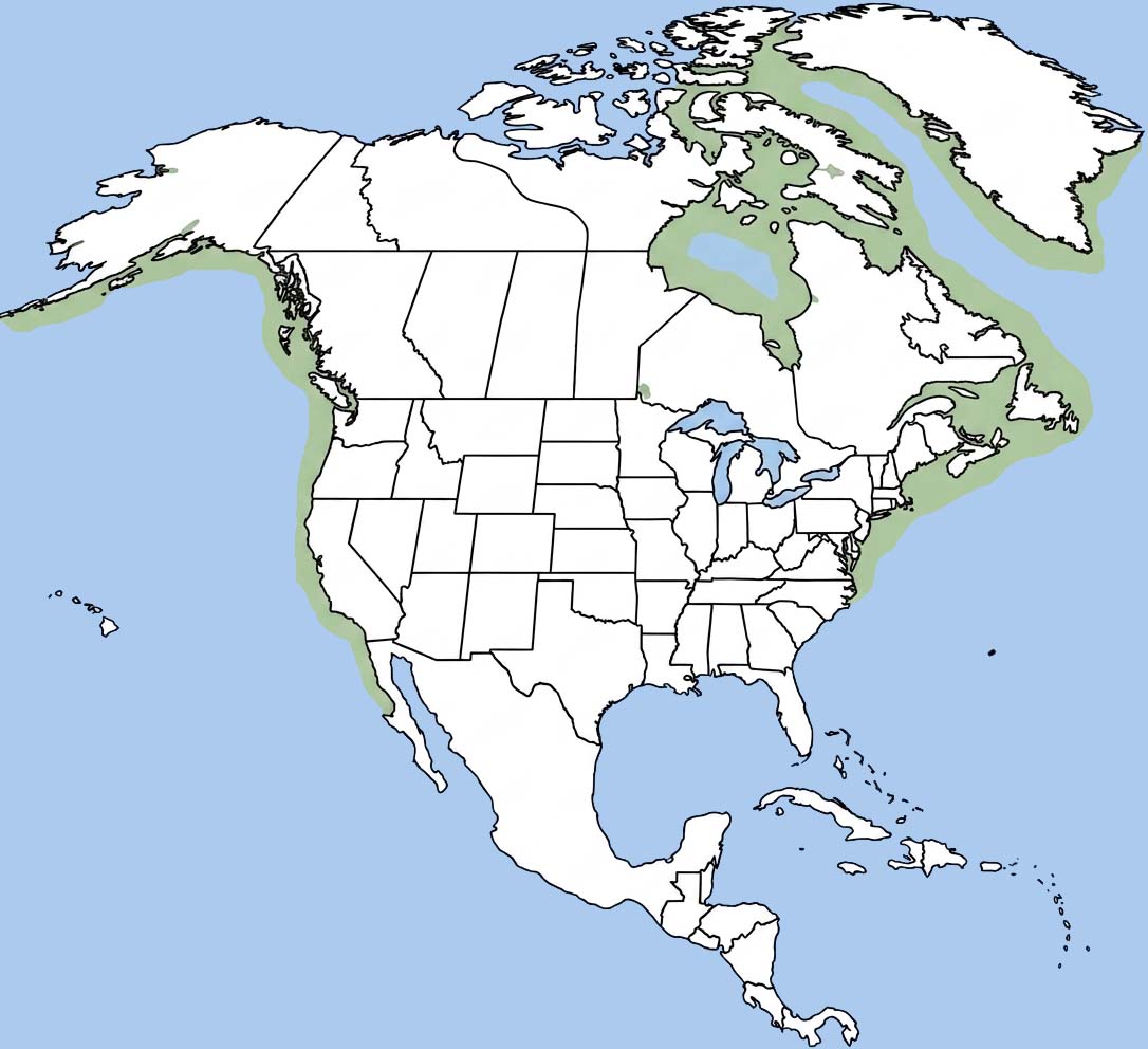 Harbor Seal Range