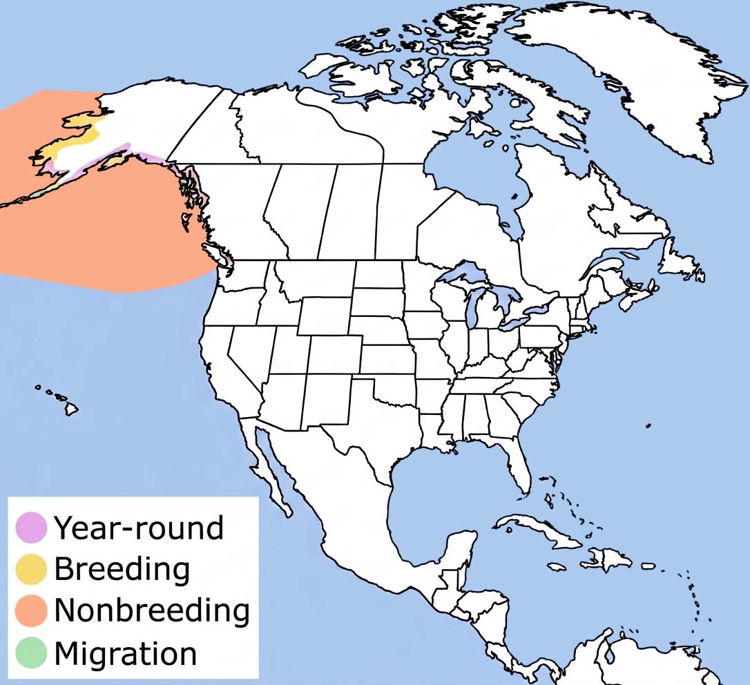 Horned Puffin Range