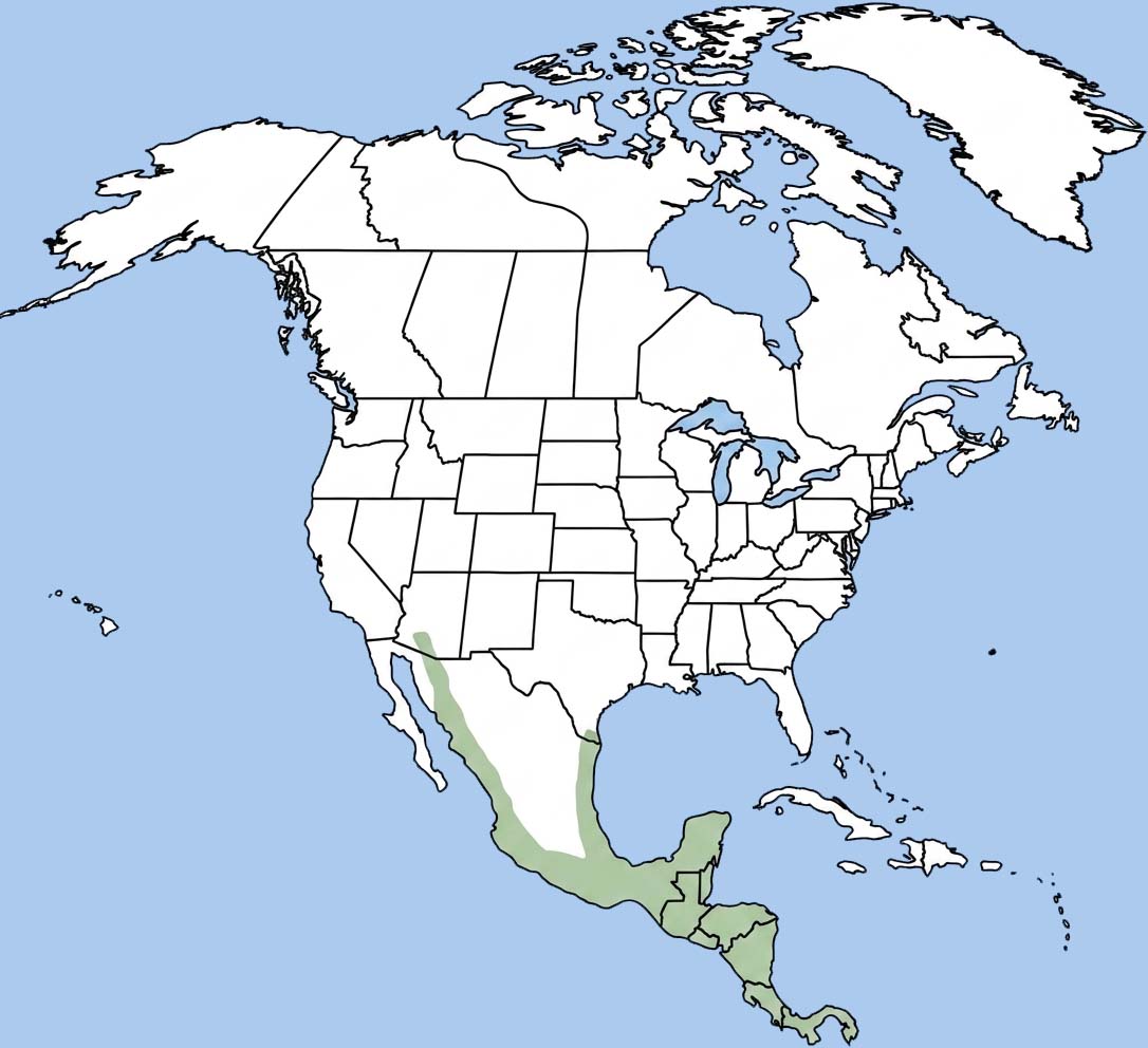 Jaguarundi Range