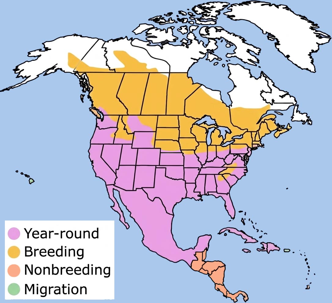 Killdeer Range