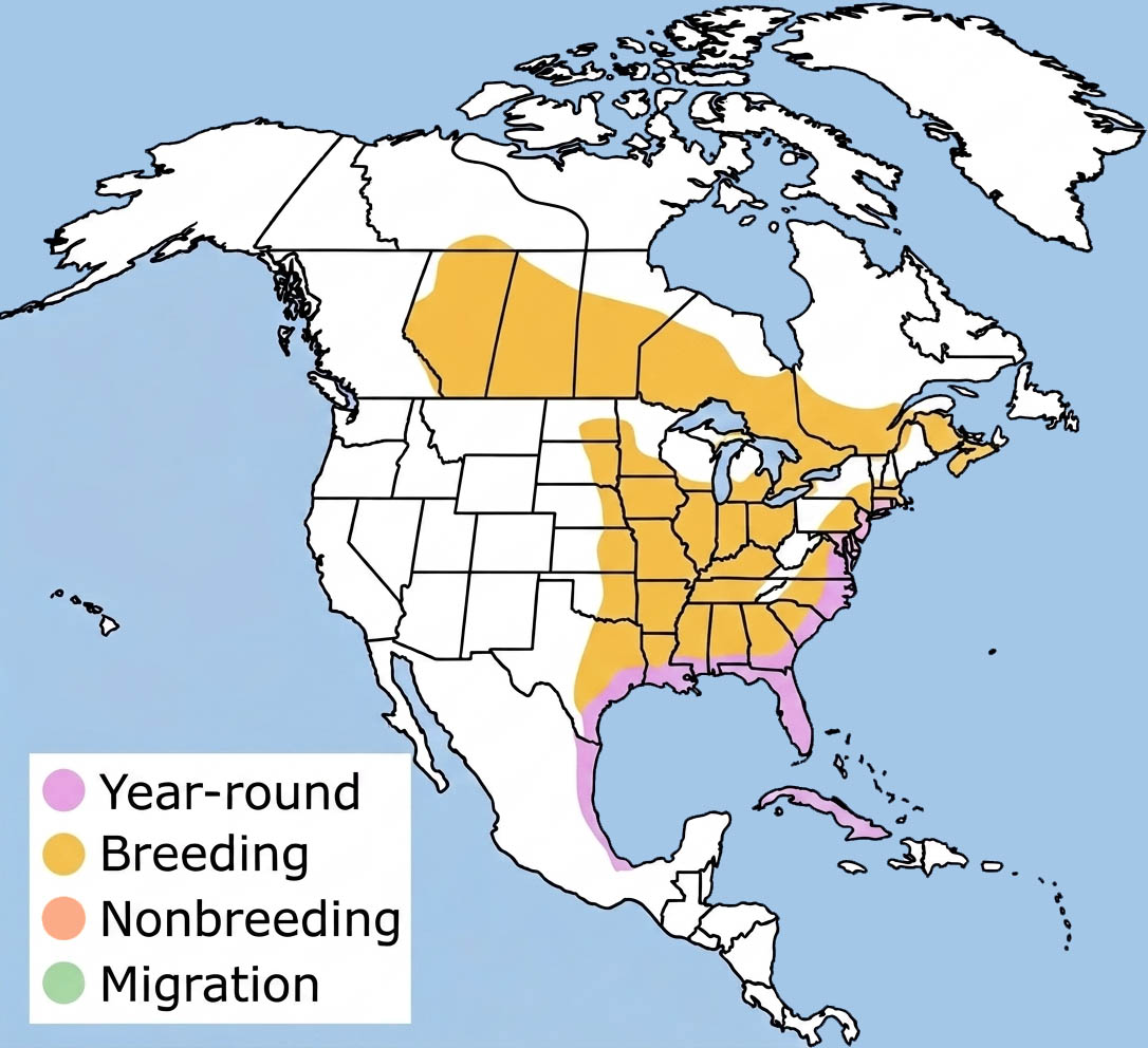 King Rail Range