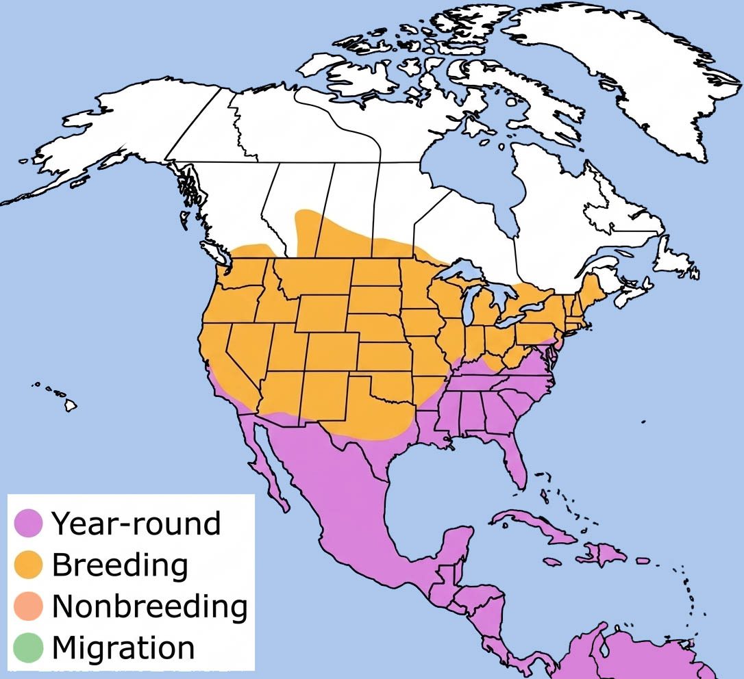 Turkey Vulture Range